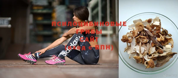 ГАЛЛЮЦИНОГЕННЫЕ ГРИБЫ Дмитриев