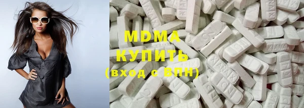 ГАЛЛЮЦИНОГЕННЫЕ ГРИБЫ Дмитриев