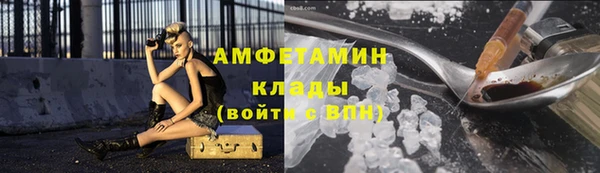 ГАЛЛЮЦИНОГЕННЫЕ ГРИБЫ Дмитриев
