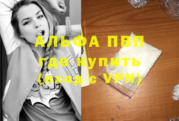ГАЛЛЮЦИНОГЕННЫЕ ГРИБЫ Дмитриев