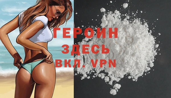 ГАЛЛЮЦИНОГЕННЫЕ ГРИБЫ Дмитриев