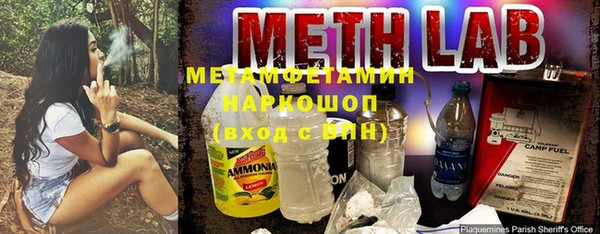 ГАЛЛЮЦИНОГЕННЫЕ ГРИБЫ Дмитриев