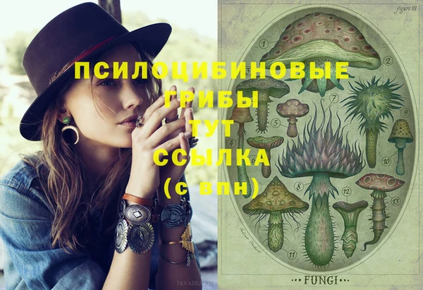 ГАЛЛЮЦИНОГЕННЫЕ ГРИБЫ Дмитриев