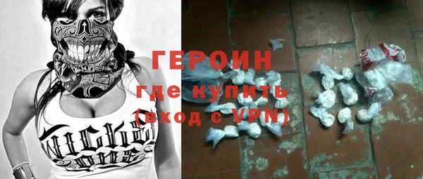ГАЛЛЮЦИНОГЕННЫЕ ГРИБЫ Дмитриев