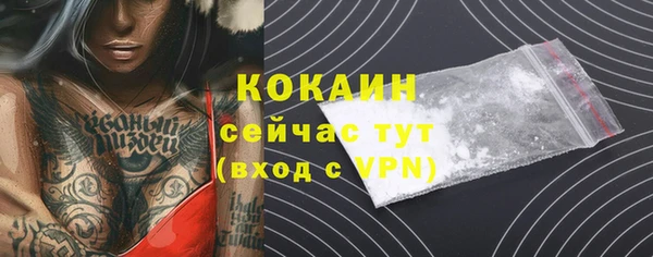ГАЛЛЮЦИНОГЕННЫЕ ГРИБЫ Дмитриев