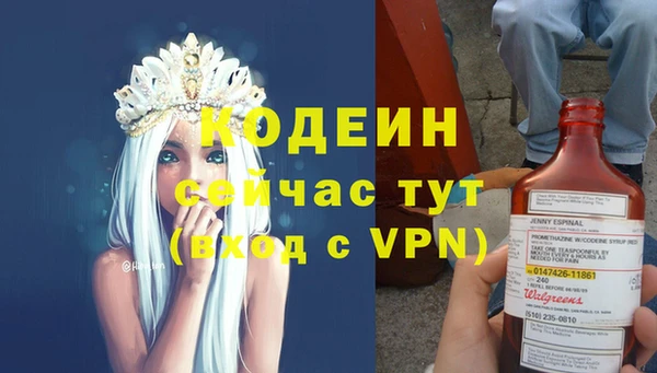хмурый Дмитровск