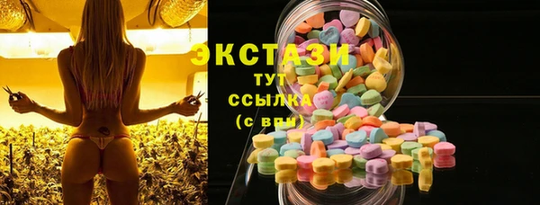 ГАЛЛЮЦИНОГЕННЫЕ ГРИБЫ Дмитриев