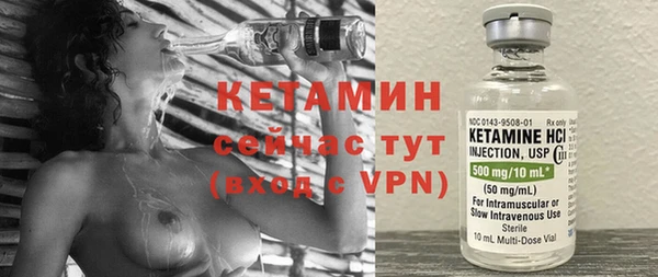 ГАЛЛЮЦИНОГЕННЫЕ ГРИБЫ Дмитриев