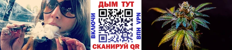 Купить где  Козловка  МАРИХУАНА семена 
